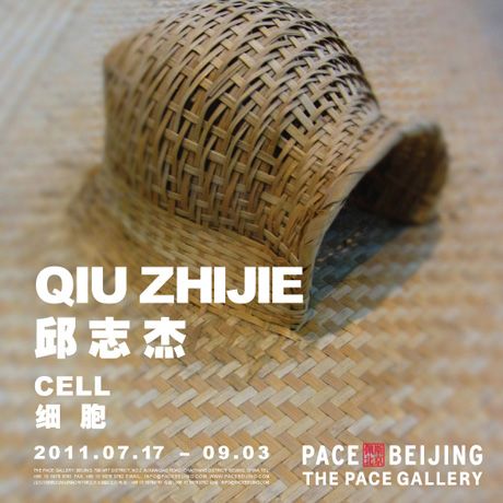 邱志杰：细胞