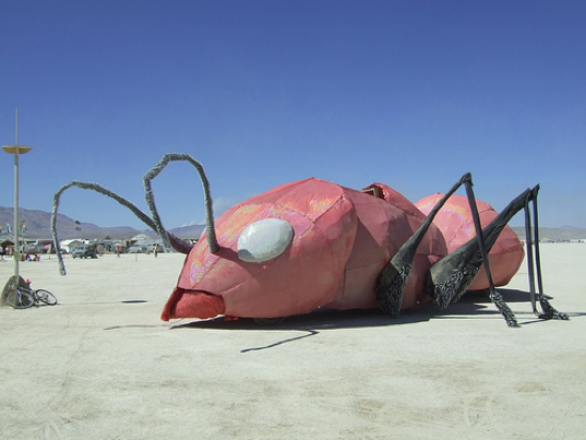 Burning Man 2007