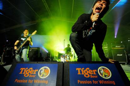 TIGER TRANSLATE 2008