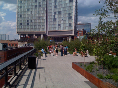 THE HIGH LINE