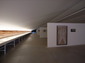 Artificial Nature exhibition