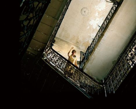 Walking in the Jungle: the Depth by Kanako Sasaki