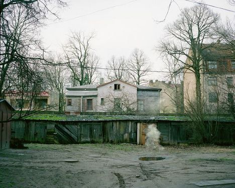 Walking in the Jungle: Time escape by Kanako Sasaki