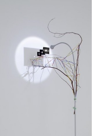 SARAH SZE