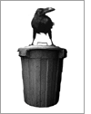 Crow & Trash by Wabisabi