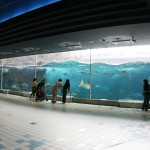 Suma Aqualife Park