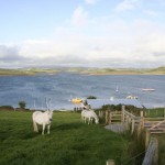Inishturkbeg
