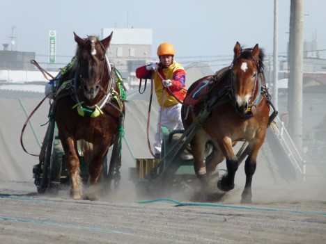 © CITY.OBIHIRO.HOKKAIDO.JP.