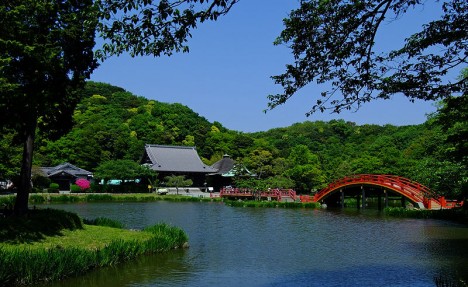 Shomyo-ji Photo: Wiiii