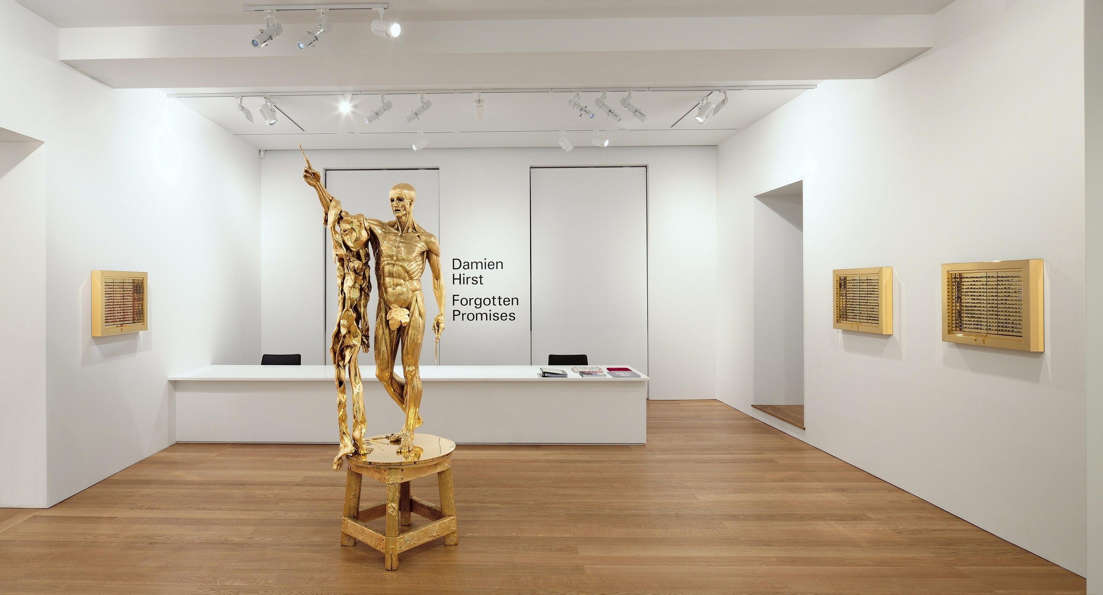 Installation view of Damien Hirst: Forgotten Promises at Gagosian Gallery Hong Kong, 2011. Courtesy Gagosian Gallery.