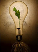 The Frontier of Design Competition