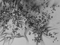 Tomoko Shioyasu Exhibition
