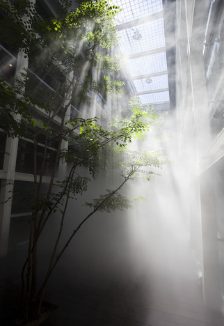 中谷芙二子+高谷史郎「CLOUD FOREST」