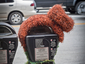 Yarn Bombing