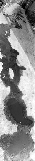 luoyongjin06.jpg