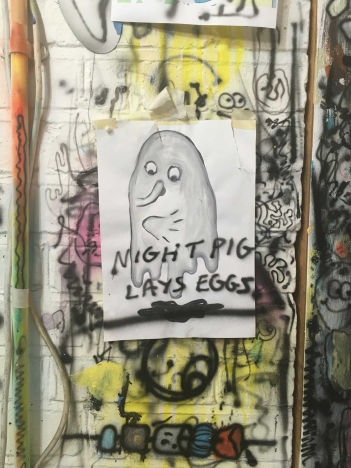 "NIGHT PIG LAYS EGGS" © Lung