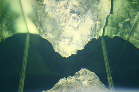 Singapore Biennale 2008