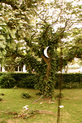Singapore Biennale 2008