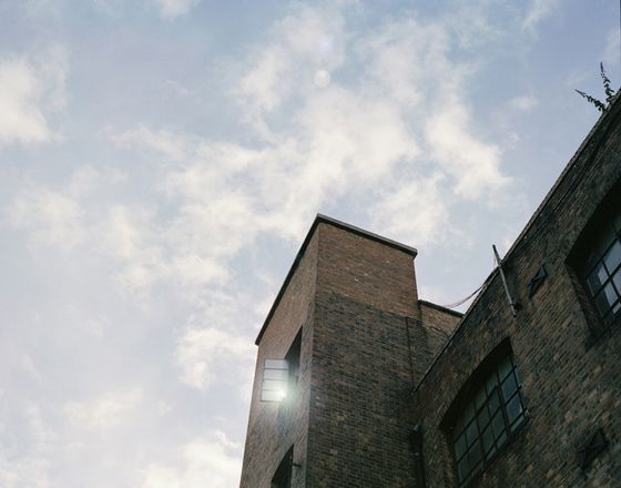 Walking in the Jungle: Anne Frank's signal by Kanako Sasaki
