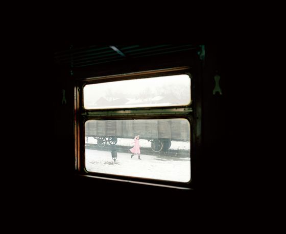 Walking in the Jungle: Departure by Kanako Sasaki