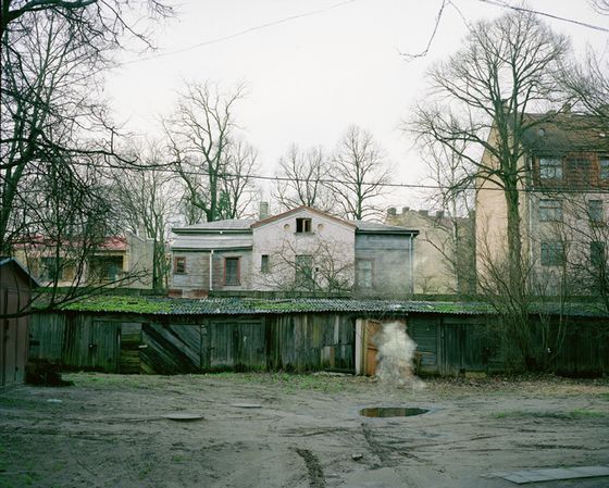 Walking in the Jungle: Time escape by Kanako Sasaki