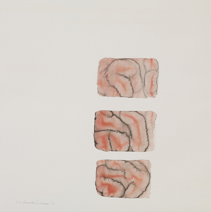 MICHIKO SOTOBAYASHI "BODY AND ORGANS"