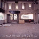 CALM & PUNK GALLERY