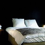 Miauw suites Amsterdam