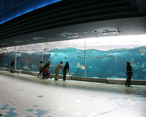 © Suma Aqualife Park in Kobe