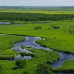 Kushiro Marsh