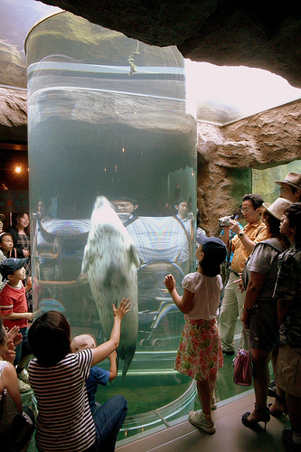 Asahiyama Zoo. Photo: Yoppy