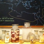 Het Grote Avontuur