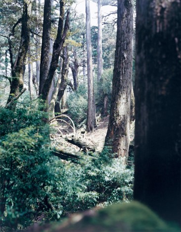 上田義彦 写真展「マテリア」