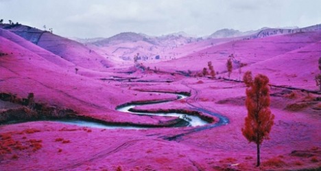 RICHARD MOSSE “THE ENCLAVE”