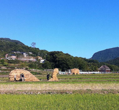 shodoshima-wara01.jpg