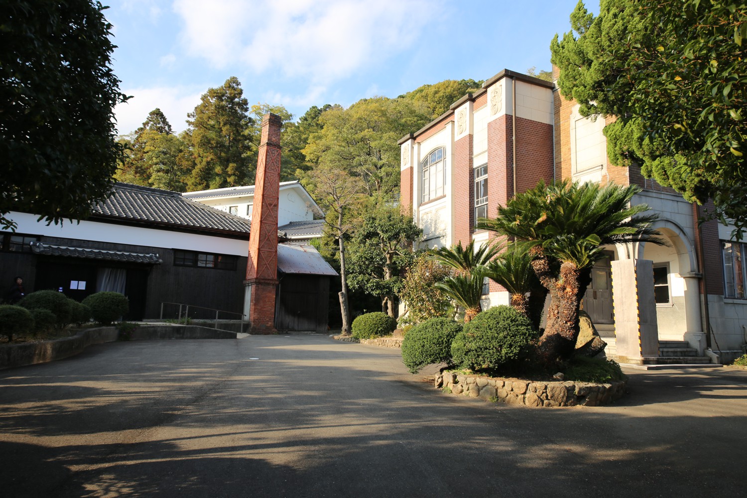 p6.JPG