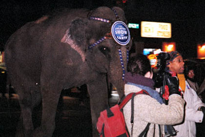 RINGLING BROTHERS AND BARNUM & BAILEY CIRCUS