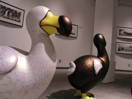 倉科昌高「DODO（ドードー）であえたはずのどうぶつたち」絵本原画展