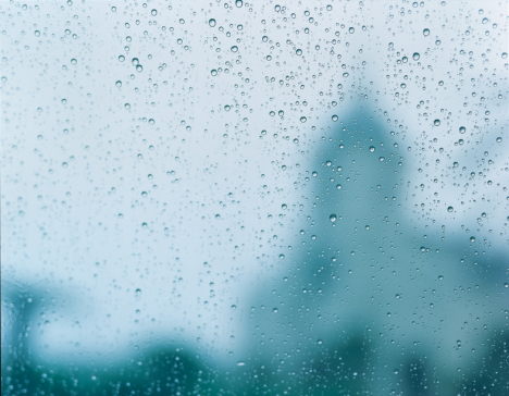 RINKO KAWAUCHI “THE RAIN OF BLESSING”