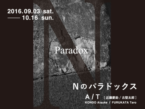 「Nのパラドックス」展