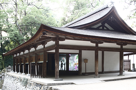 kasugataisha