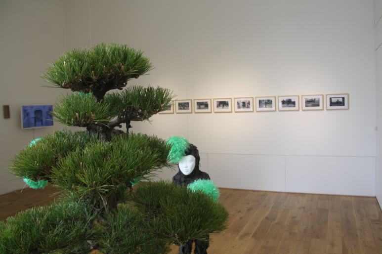 Exhibition of 