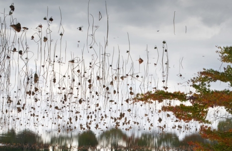 Ori Gersht  "Hanging Sky 03" 2016, Floating World, Diasec mounted on aluminium, 120 x 183.6 cm © Ori Gersht, Courtesy Ben Brown Fine Arts