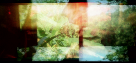 APICHATPONG WEERASETHAKUL “THE SERENITY OF MADNESS”
