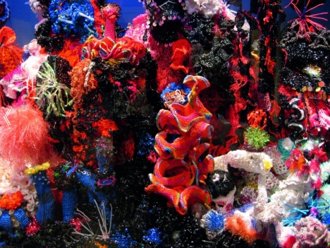 Institute For Figuring's Crochet Coral Reef project, 2005–ongoing, Photo ©  the Institute For Figuring